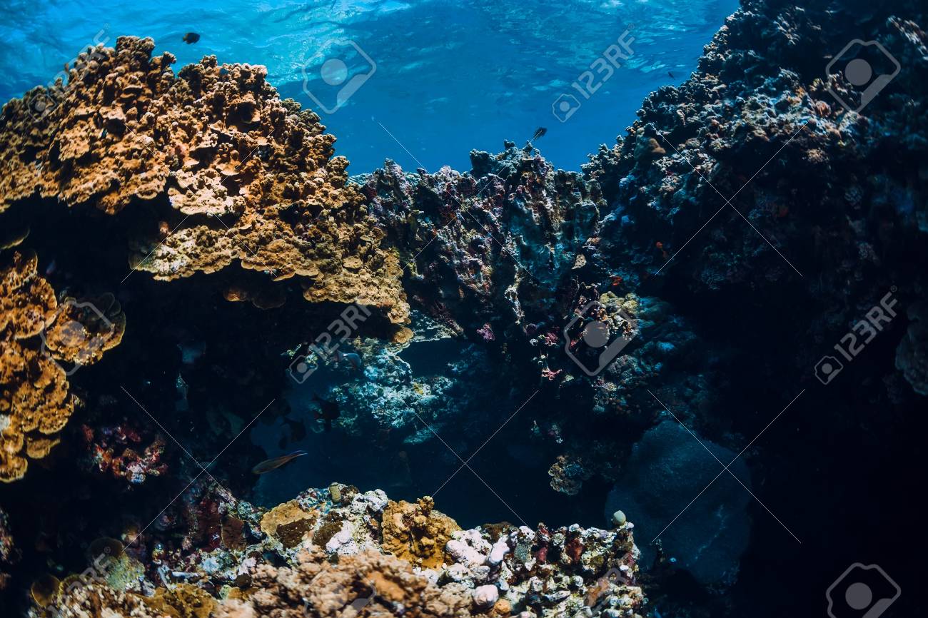 Underwater Rocks With Coral Reef In Ocean. Menjangan Island, Bali Stock  Photo, Picture and Royalty Free Image. Image 112530944., image size:1300x866
