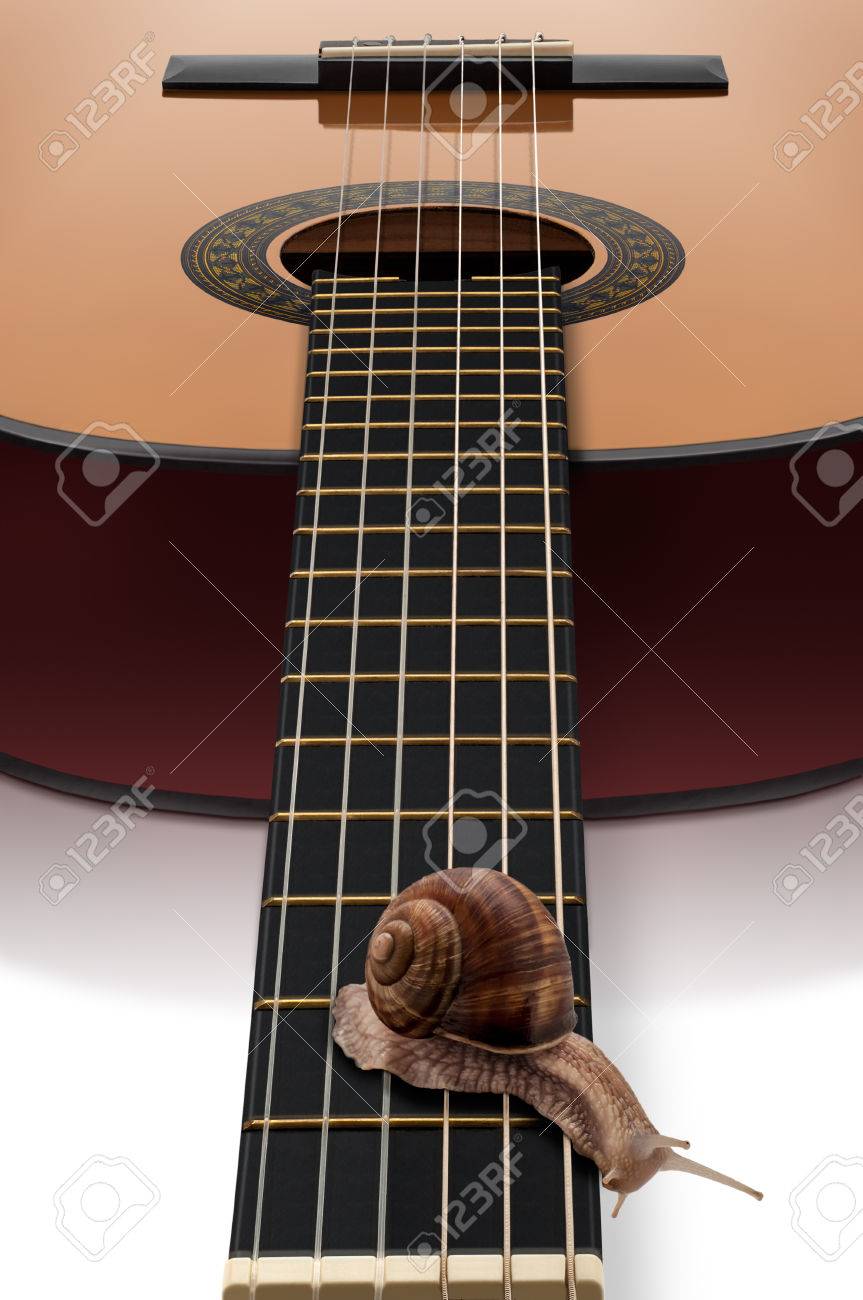 ギターのフレット ボードをゆっくりクロール ローマ カタツムリ エスカルゴ 被写し界深度スタッキング フォーカスを用いた達成を拡張します の写真素材 画像素材 Image
