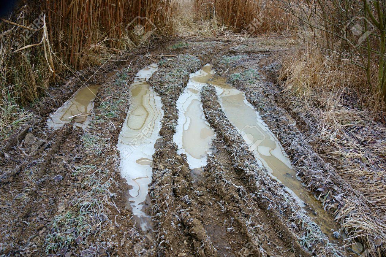 frozen dirty puddles on the rutted road among the reeds stock photo