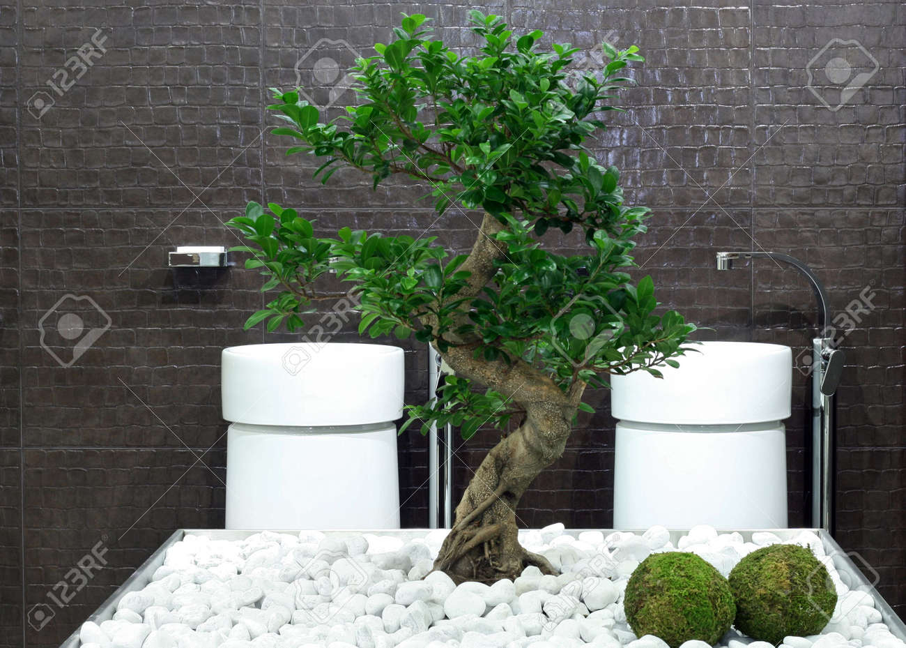 archivio fotografico stile giapponese bagno con bonsai albero e pietre