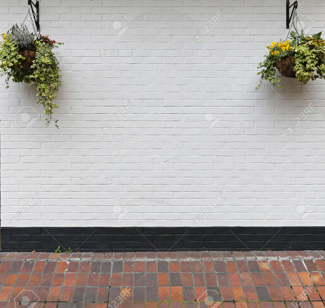 White Wall With Hanging Flower Pots Stock Photo Picture And Royalty Free Image Image 24088489
