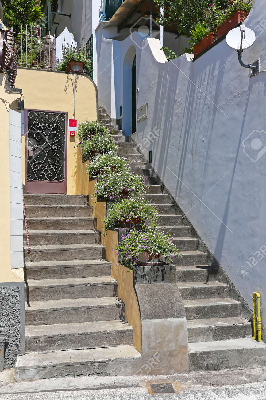 間の植木鉢との二重階段 の写真素材 画像素材 Image