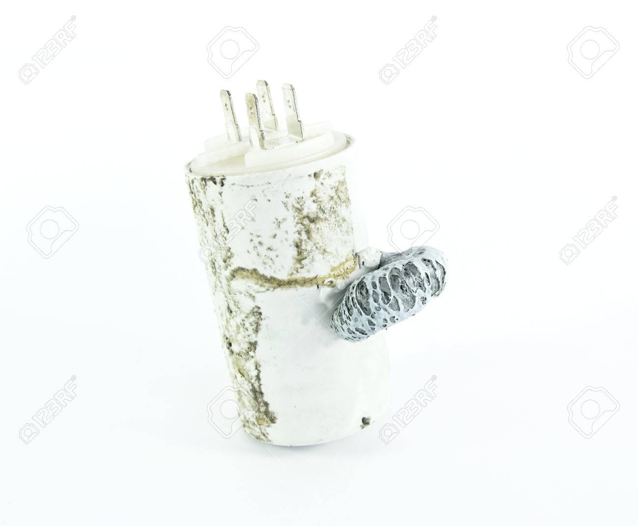 etiam-dictum-ipsum-a-felis