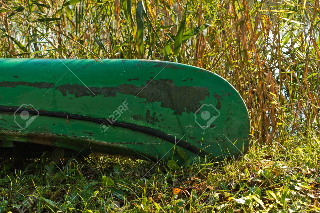 Carska 薔薇 鳥のため大規模な自然の生息地と北のセルビアの他の動物の保護された自然湿地で晴れた朝に緑カヌー ボート の写真素材 画像素材 Image