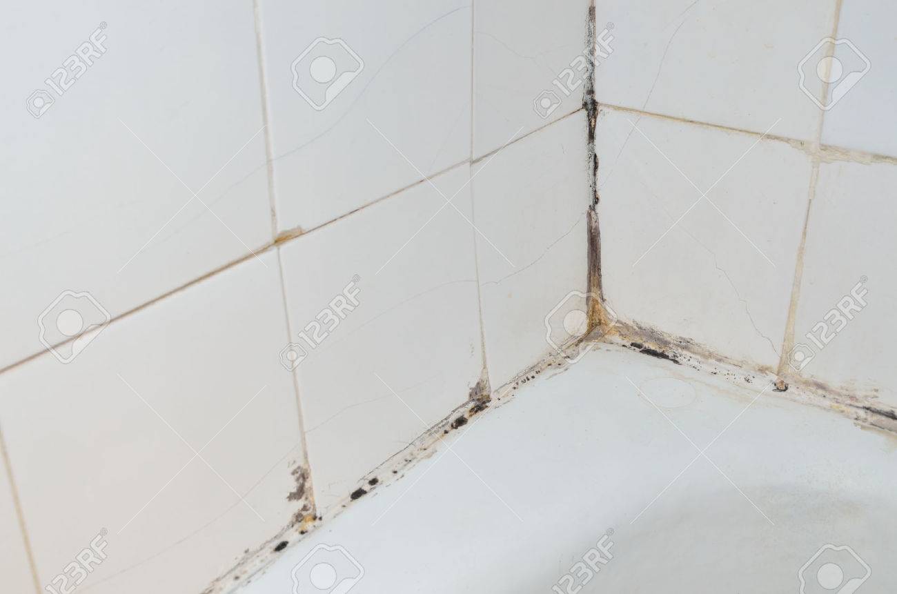 Decoration Salle De Bain Vitree ~ mold et l chelle sur les vieux murs de la salle de bains banque d Decoration Salle De Bain Vitree ~ mold et l chelle sur les vieux murs de la salle de bains banque d
