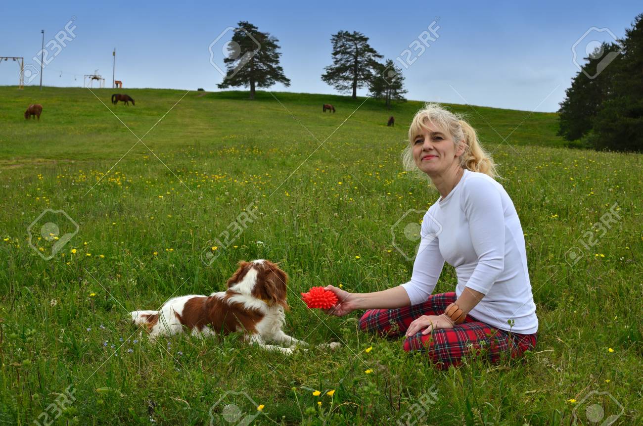 cavalier spring charles spaniel