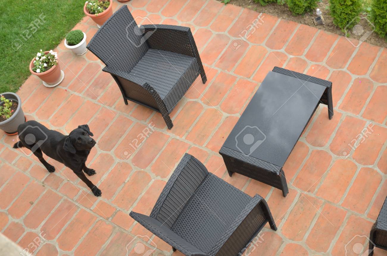 Garden Furniture And A Dog In A Backyard - Bird's Eye View Stock Garden furniture and a dog in a backyard - bird's eye view Stock Photo - 83835397 - Garden Furniture And A Dog In A Backyard - Bird's Eye View Stock