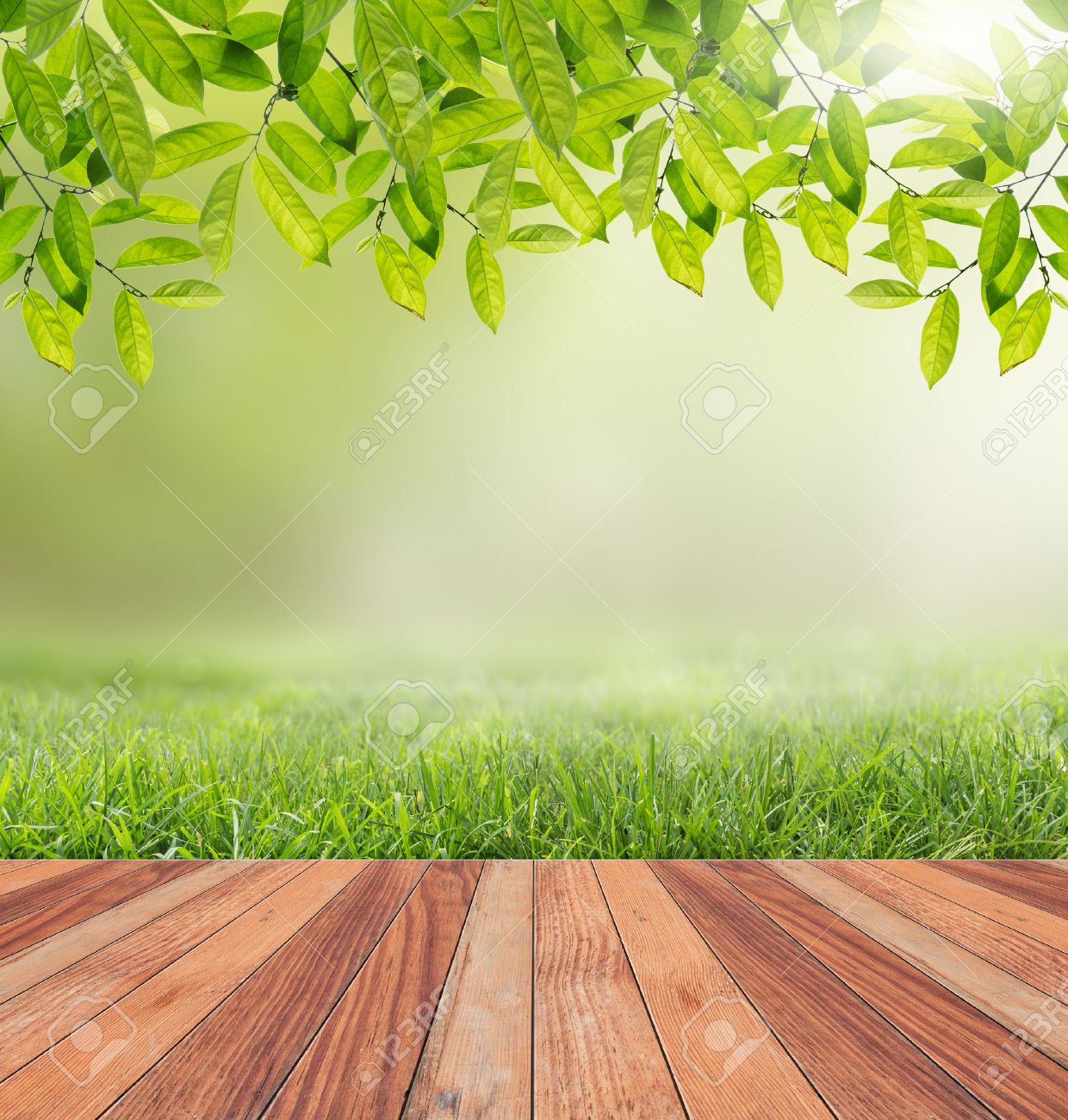 wooden floor and sunlight nature background stock photo picture