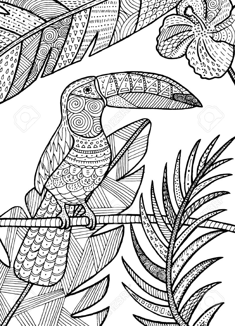 ベクトル手描きオオハシ鳥熱帯の例大人の塗り絵 のイラスト素材 ベクタ Image 67377717