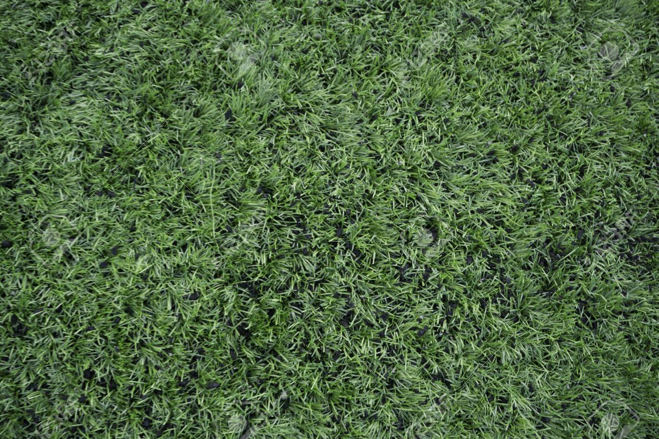 スタジアム ラインに天然芝のサッカー場 の写真素材 画像素材 Image