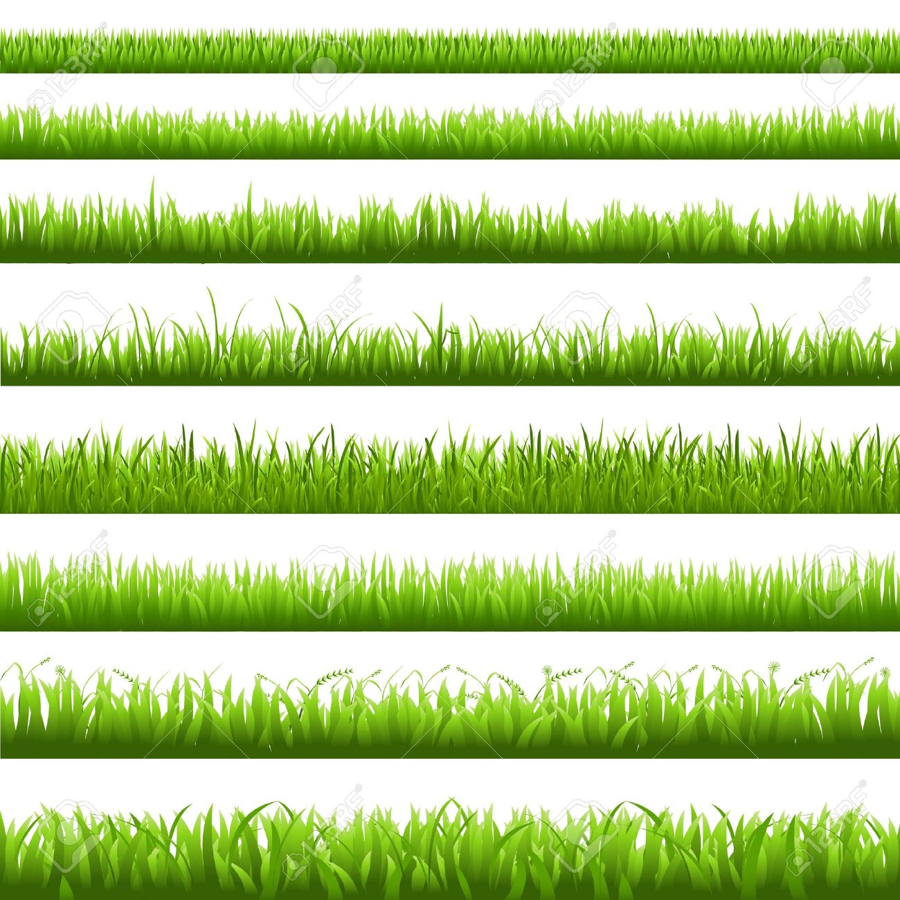 緑の草 Borderi ベクトル イラストのイラスト素材 ベクタ Image