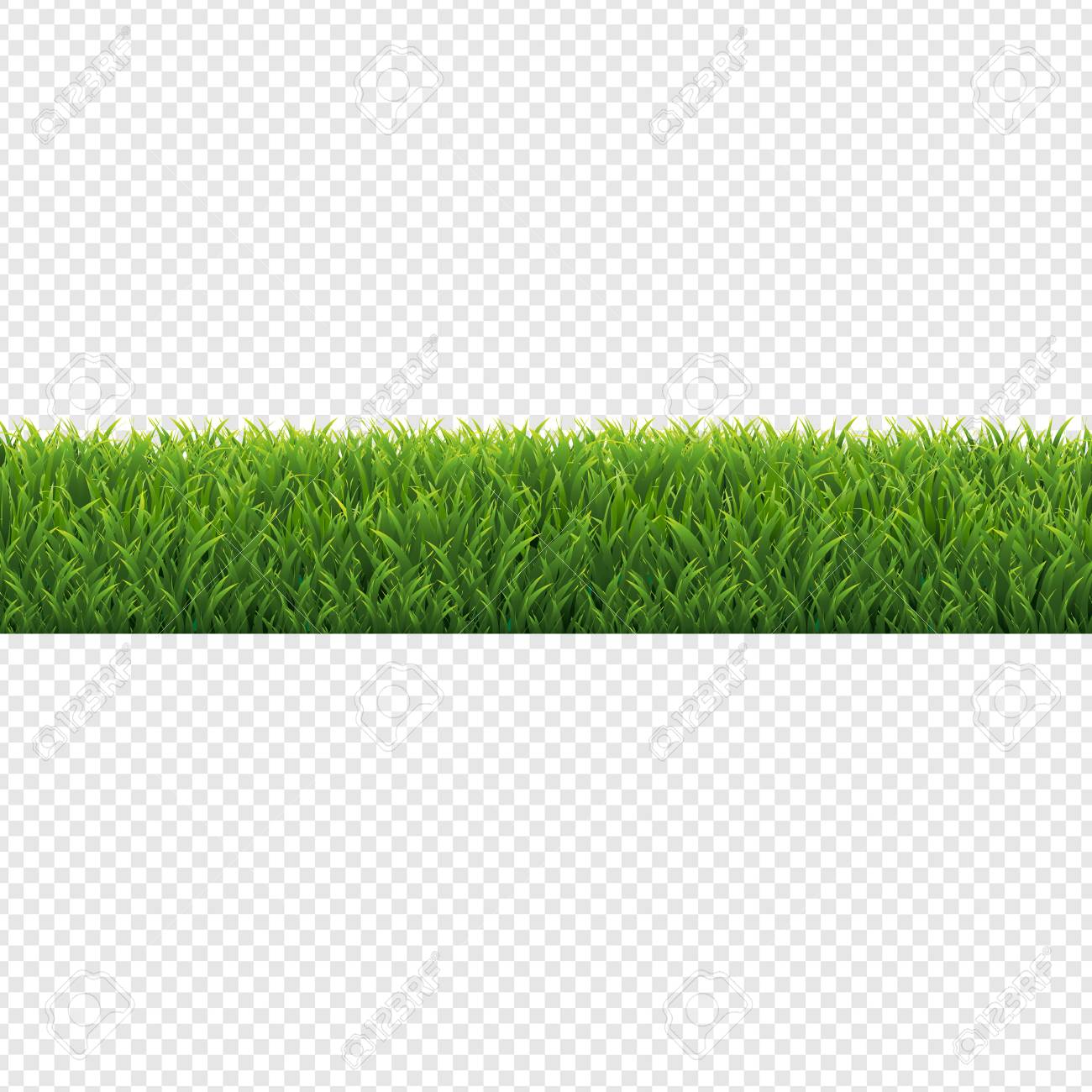 Grass Transparent Background On Green Grass Border Transparent Background Vector Illustration Stockfoto 108090842 Grass Transparent Background On Green Grass Border Transparent Background Vector Illustration Stockfoto 108090842