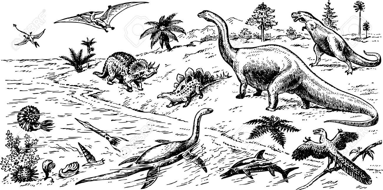 национальный парк «галапагосские острова». необитаемый остров юмор. эквадор галапагосские острова. лагерь остров приключения эволюция дзержинск. галапагосские острова южная америка.