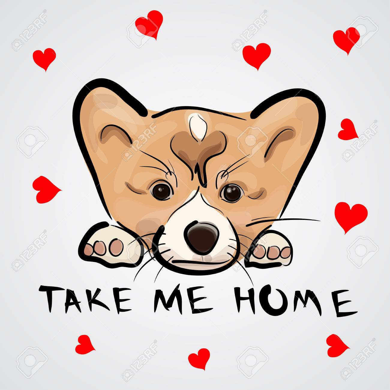 かわいい漫画の犬ウェルシュ コーギー ペンブロークのカード 子供のイラスト 子犬 面白い赤ちゃん動物 ベクター画像 の写真素材 画像素材 Image かわいい漫画の犬ウェルシュ コーギー ペンブロークのカード 子供のイラスト 子犬 面白い赤ちゃん動物 ベクター画像 の写真素材 画像素材 Image