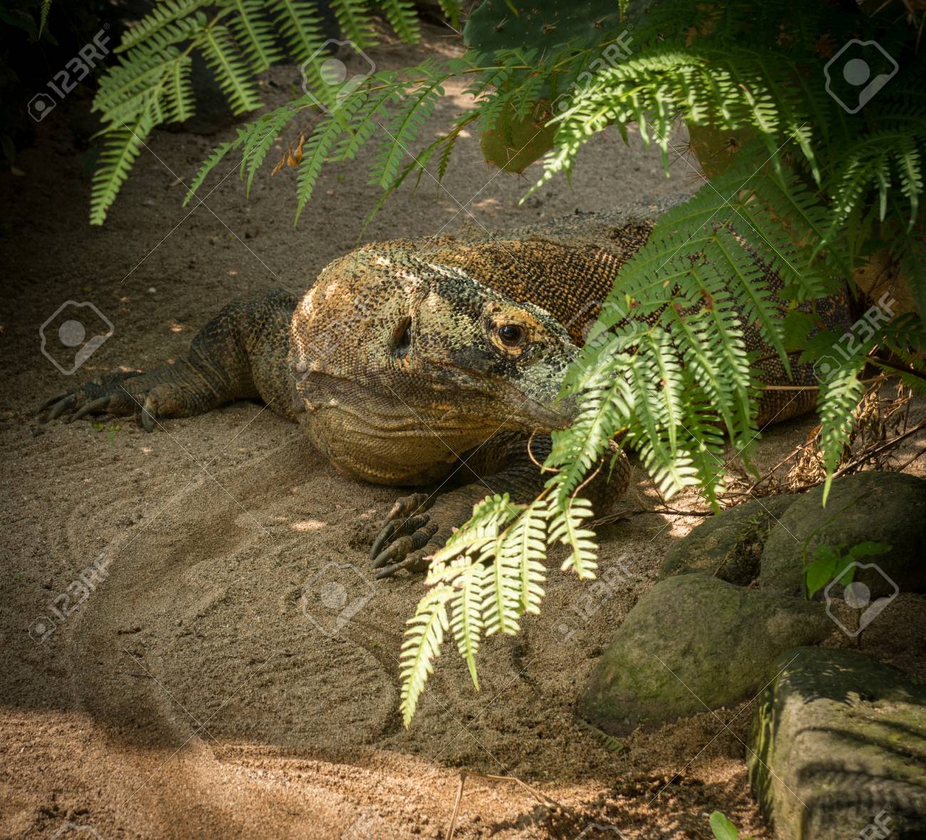 etiam-dictum-ipsum-a-felis