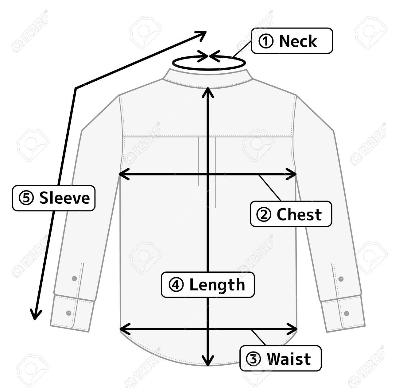 Free Size Chart