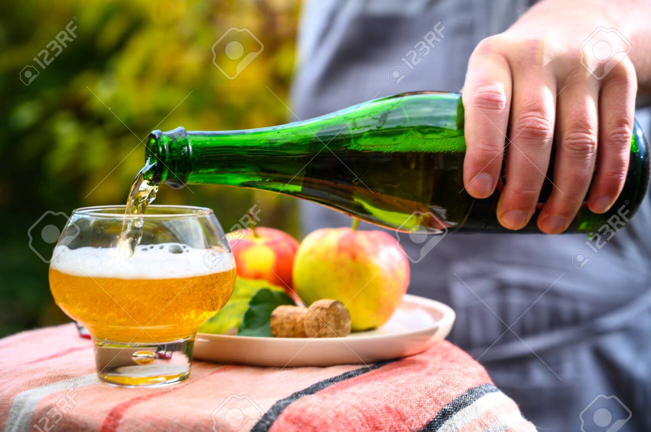 Pouring of french apple cider in glass made from new harvest apples outdoor in sunny orchard - 134308541 Pouring of french apple cider in glass made from new harvest apples outdoor in sunny orchard - 134308541
