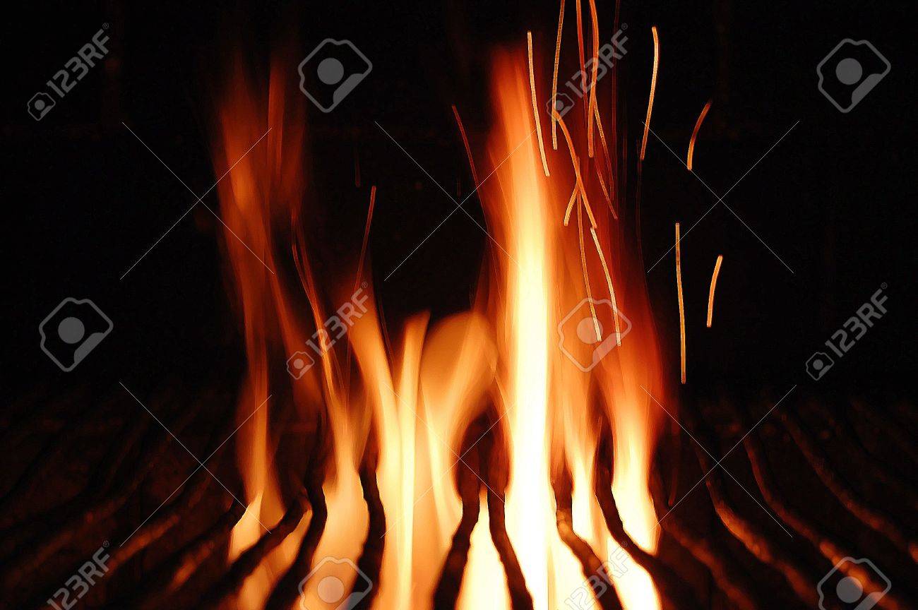 etiam-dictum-ipsum-a-felis