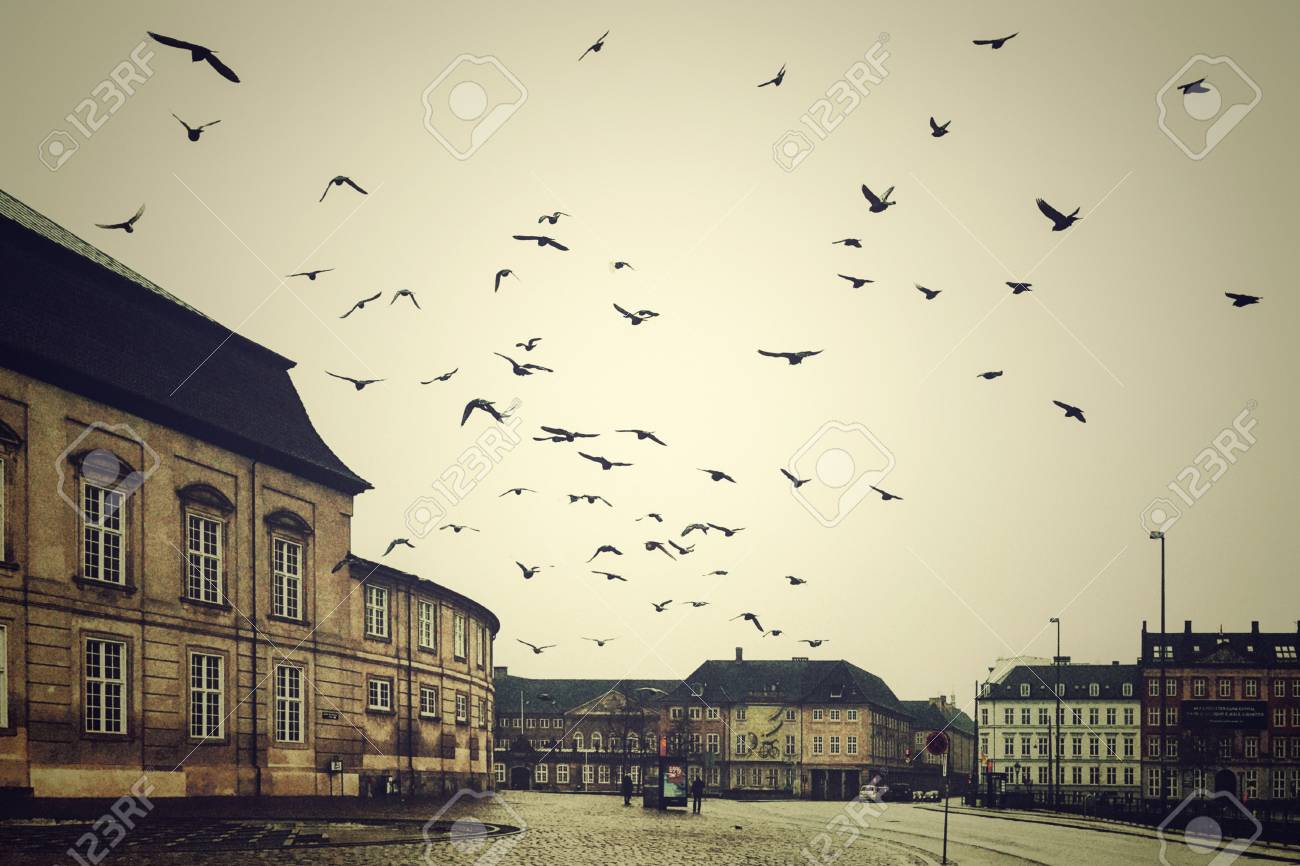 etiam-dictum-ipsum-a-felis