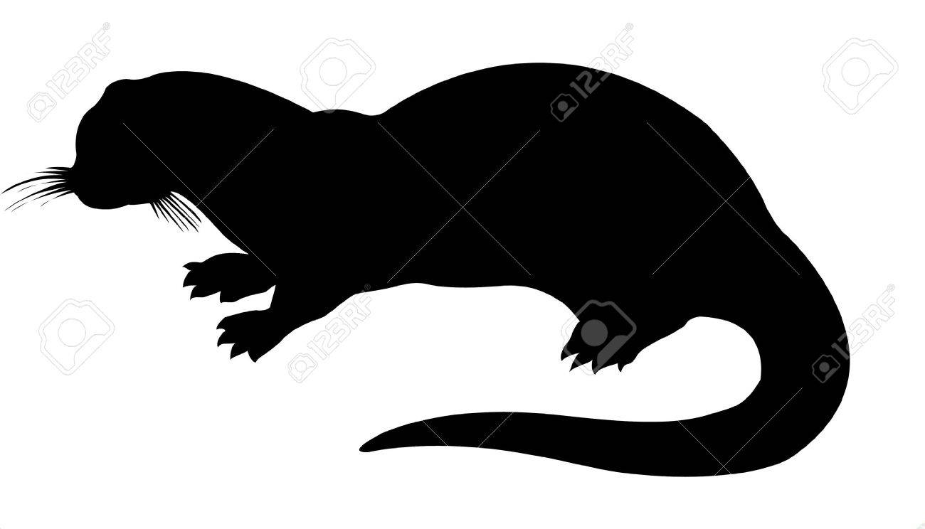 白の背景にシルエット カワウソ のイラスト素材 ベクタ Image