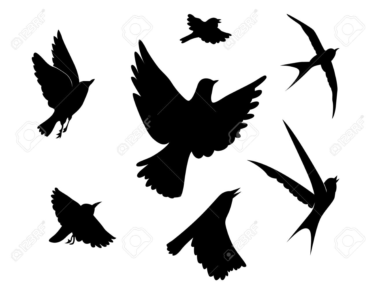 白の背景 ベクトル イラストに鳥のシルエット のイラスト素材 ベクタ Image