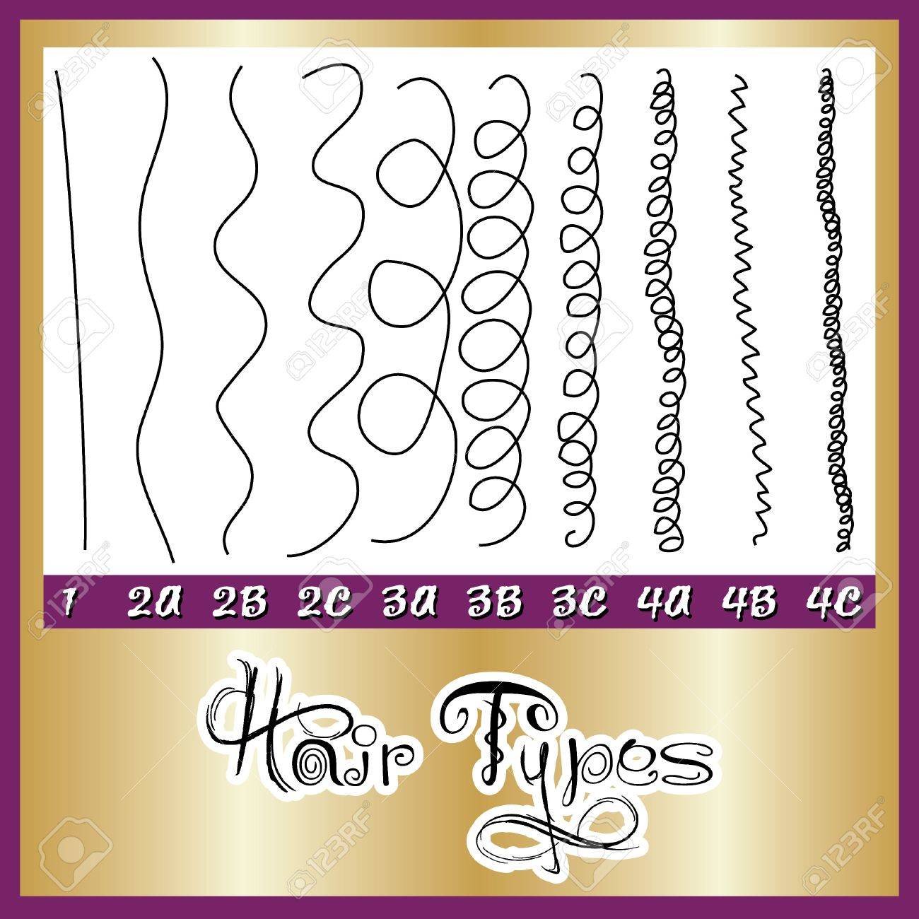 Illustration Of A Hair Types Chart Displaying All Types And