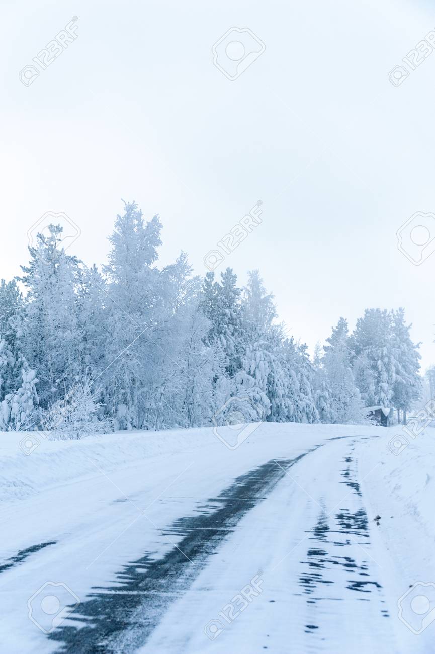 冷凍木 々の間雪 Blizard 後冬滑りやすい路面 の写真素材 画像素材 Image