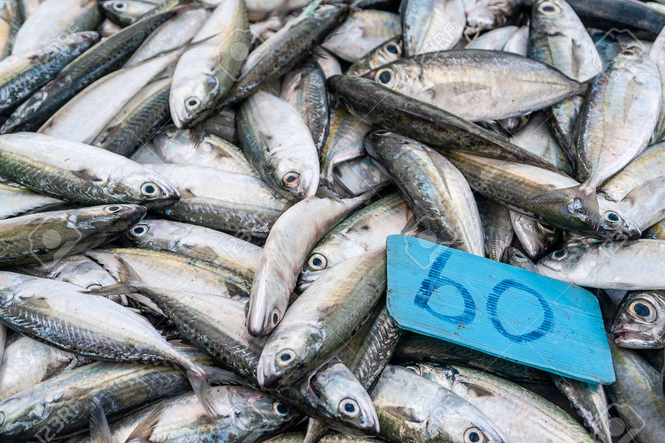 Real Morning Selling A Variety Chopped Fresh Fish On A Street Market In  Thailand, Phuket. Seafood From The Adaman Sea Close-up View With Price Tags  On Backround. Stock Photo, Picture and Royalty