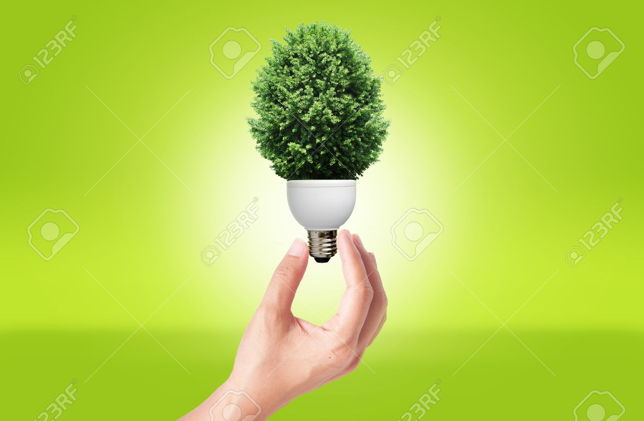 Hand holding Lamp with green tree for green eco concept - 10489666 Hand holding Lamp with green tree for green eco concept - 10489666
