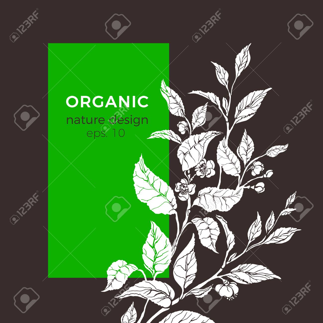 vector floral illustration with tea leaf flower botanical shape