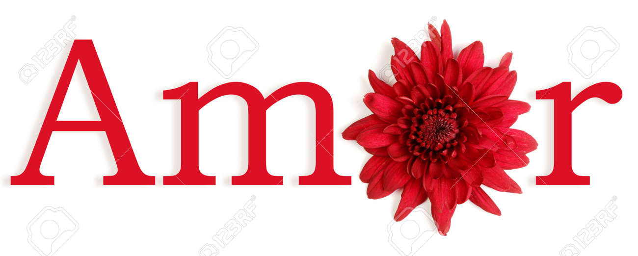 Stock Photo The Word Love In Spanish With The O Replaced By A Flower Stock Photo The Word Love In Spanish With The O Replaced By A Flower