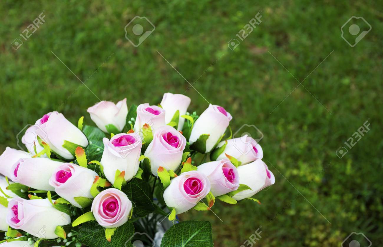 Pink Roses Artificial Flowers In Vase Stock Photo Picture And