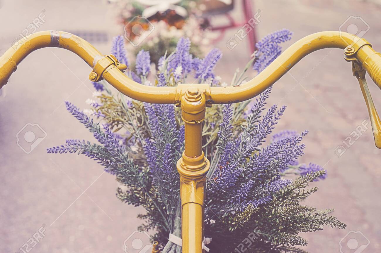 vintage yellow bike with basket