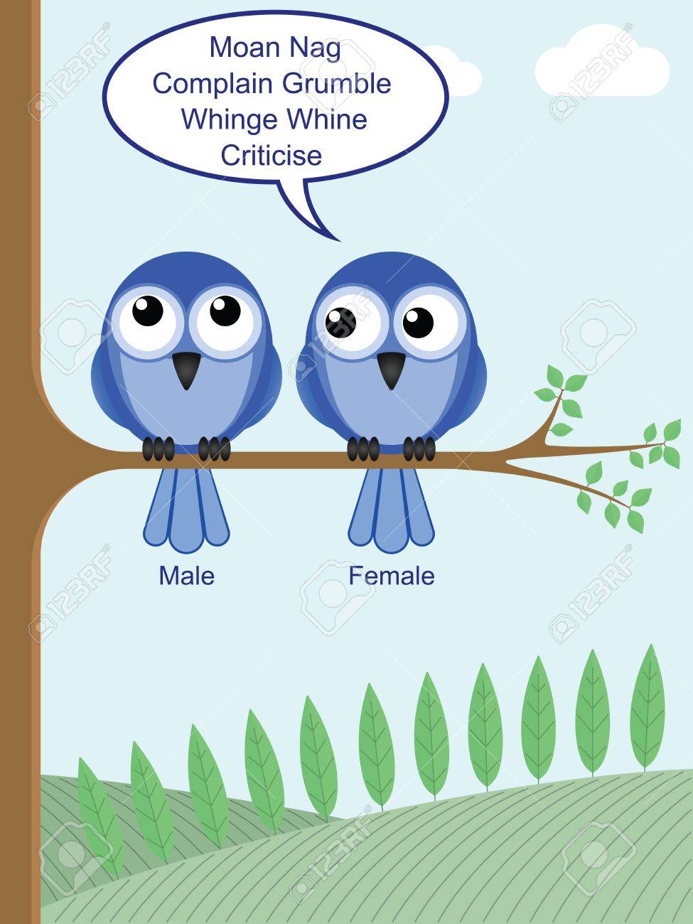 regard humoristique sur la façon de déterminer le sexe des oiseaux