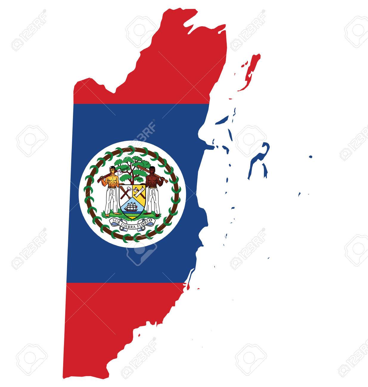 白い背景で隔離の概要地図に重ねてベリーズの国旗 のイラスト素材 ベクタ Image