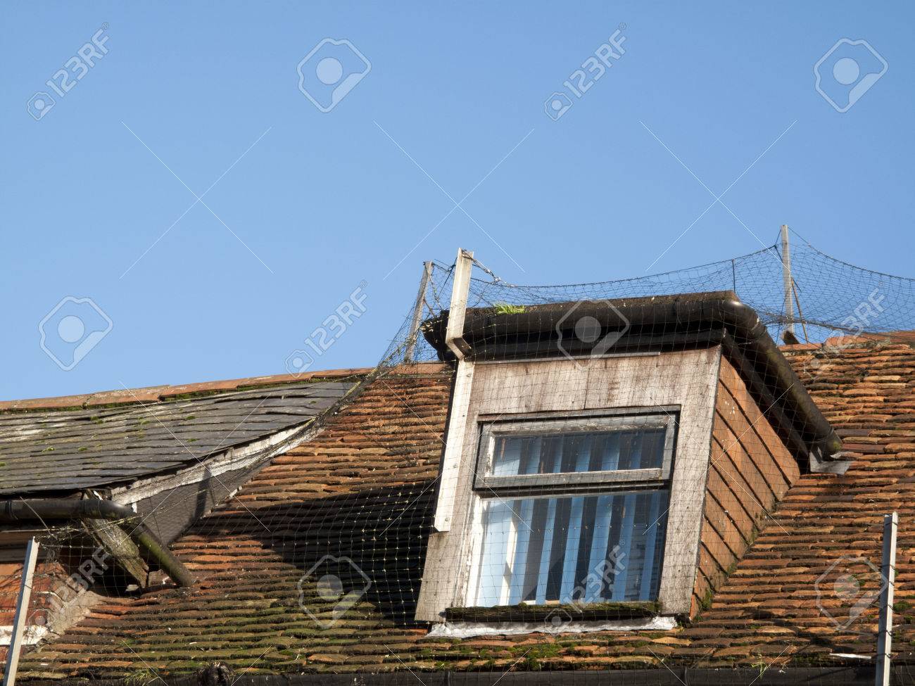 Fenêtre Sur Le Toit De Dorma Anti Oiseaux Filet De Dissuasion