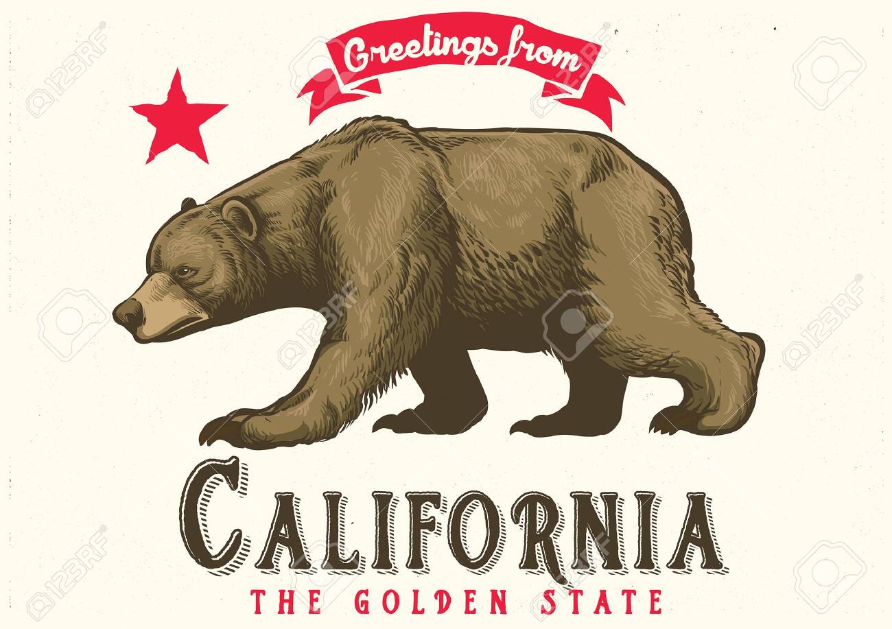 hand drawn of californian brown bear - 126488571 hand drawn of californian brown bear - 126488571