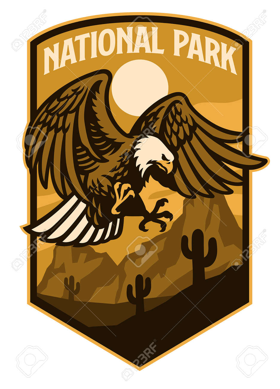 vector of bald eagle of national park style logo - 171104009 vector of bald eagle of national park style logo - 171104009
