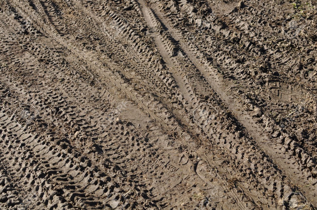 mountain bike tracks