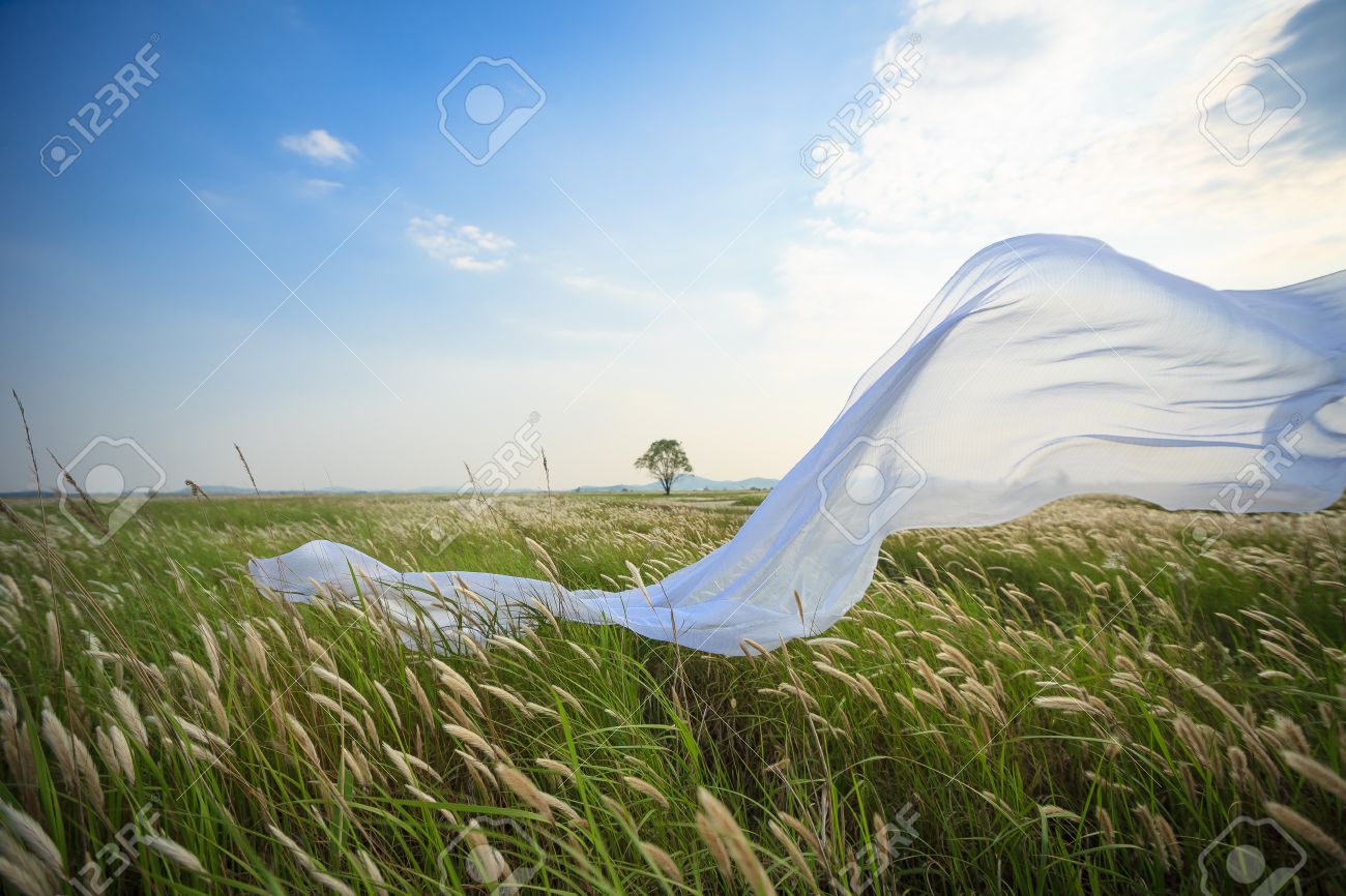 White Fabric Blowing In The Wind In The Reed Field Stock Photo Picture And Royalty Free Image Image 84795065