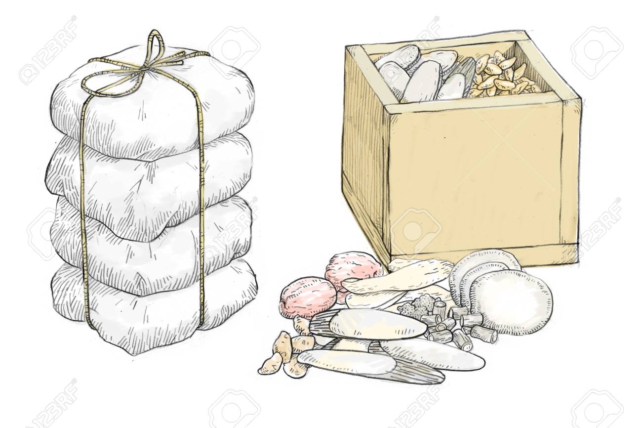 東洋医学のベクターハンド描きイラスト 薬草 東洋医学院 003 のイラスト素材 ベクタ Image 東洋医学のベクターハンド描きイラスト 薬草 東洋医学院 003 のイラスト素材 ベクタ Image