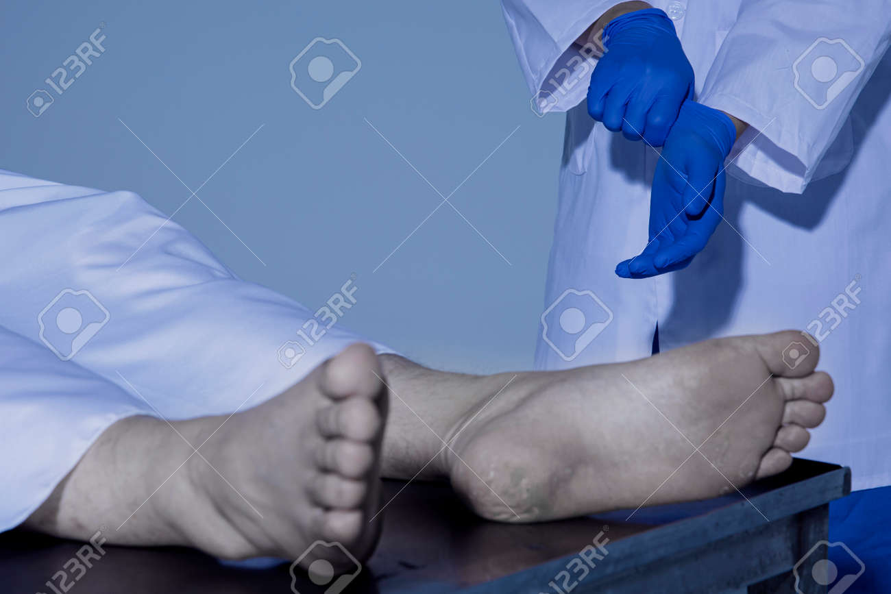 etiam-dictum-ipsum-a-felis