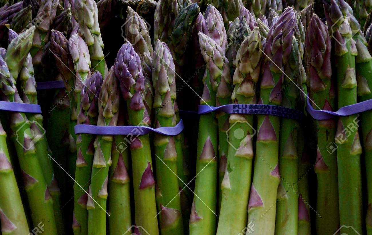 Colorful Organic Asparagus for Sale at Market - 1884441 Colorful Organic Asparagus for Sale at Market - 1884441