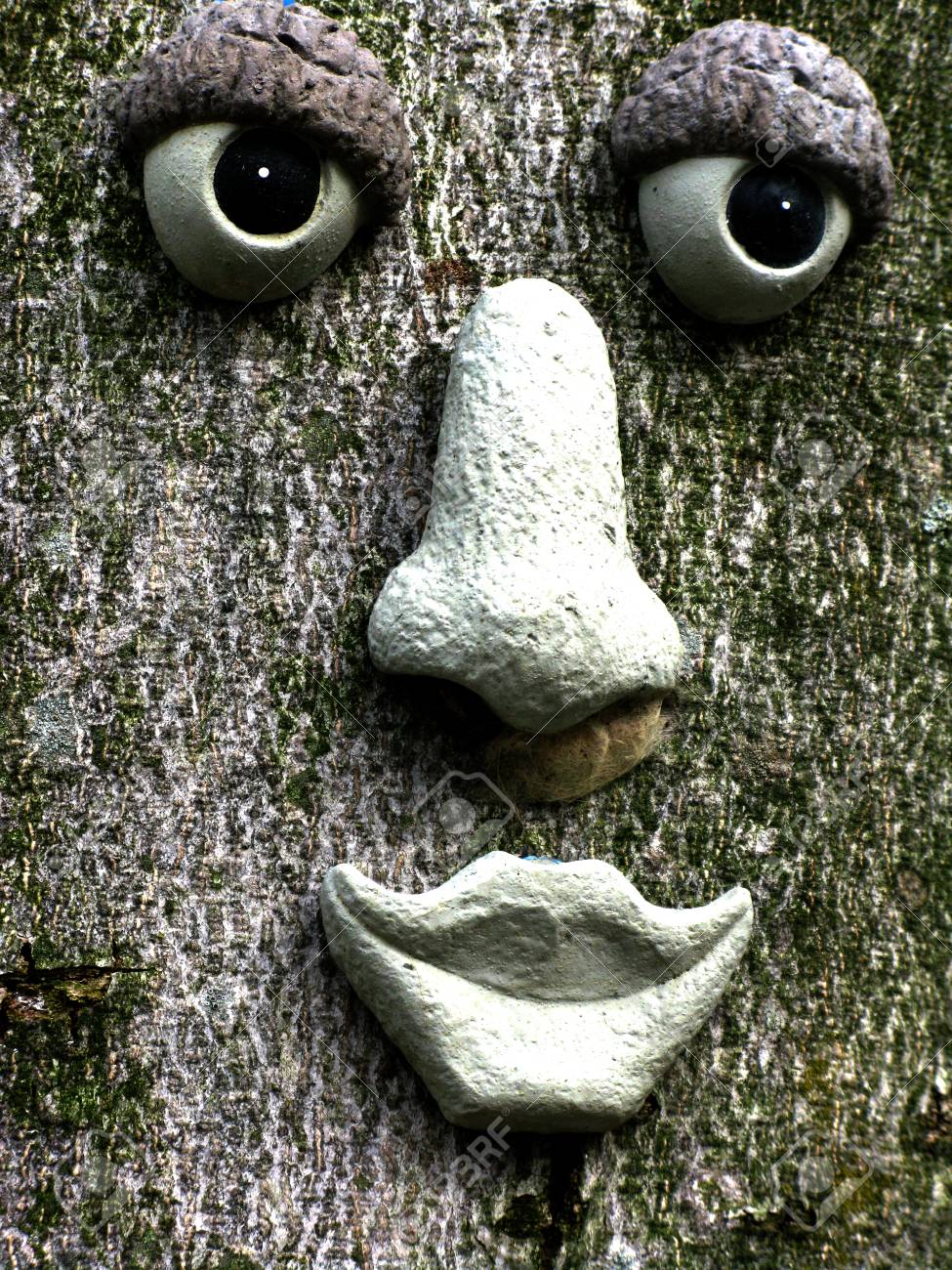 etiam-dictum-ipsum-a-felis