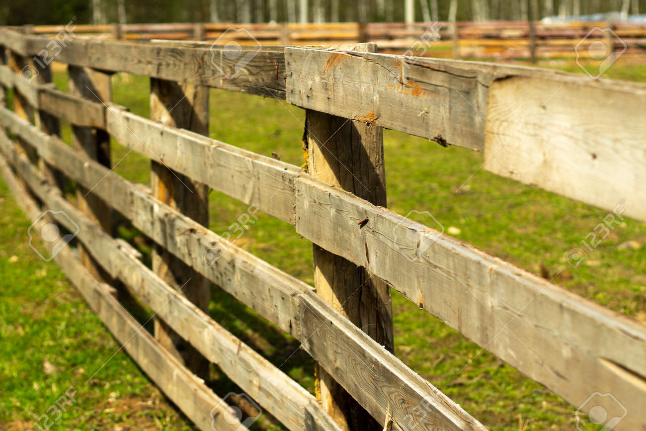 Wooden Fence On The Farm. A Hedge Of Boards In Summer. An Obstacle For Farm  Animals. Stock Photo, Picture and Royalty Free Image. Image 176815955., image size:1300x867