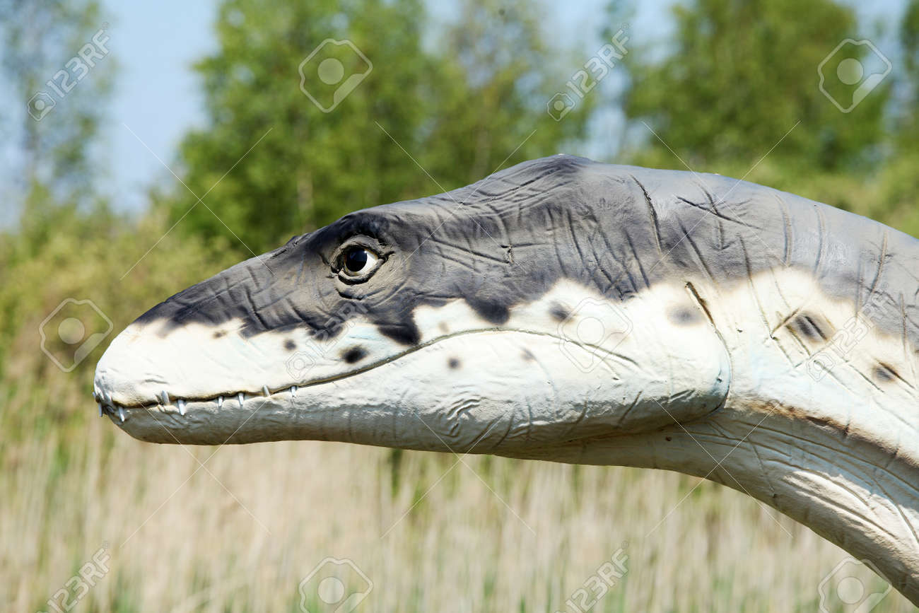 Dinosaur - Kryptoklid (cryptoclidus Eurymerus) Stock Photo, Picture and  Royalty Free Image. Image 9713815.