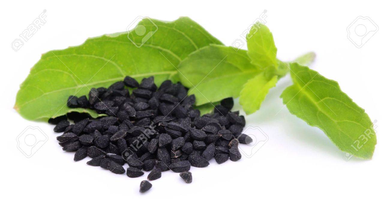 Nigella or black cumin with a medicinal tulsi leaves - 21394816 Nigella or black cumin with a medicinal tulsi leaves - 21394816