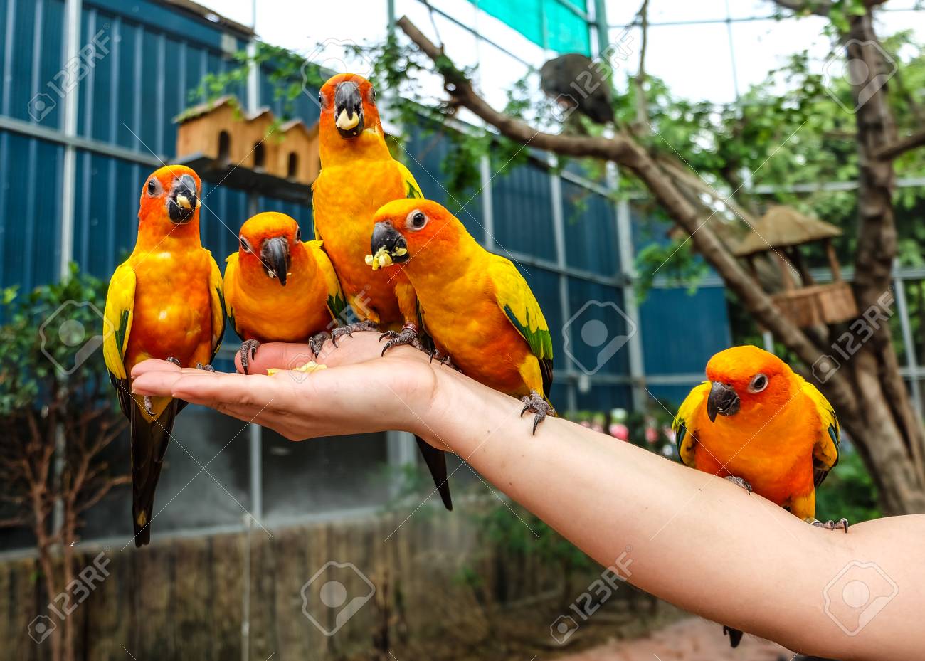 etiam-dictum-ipsum-a-felis