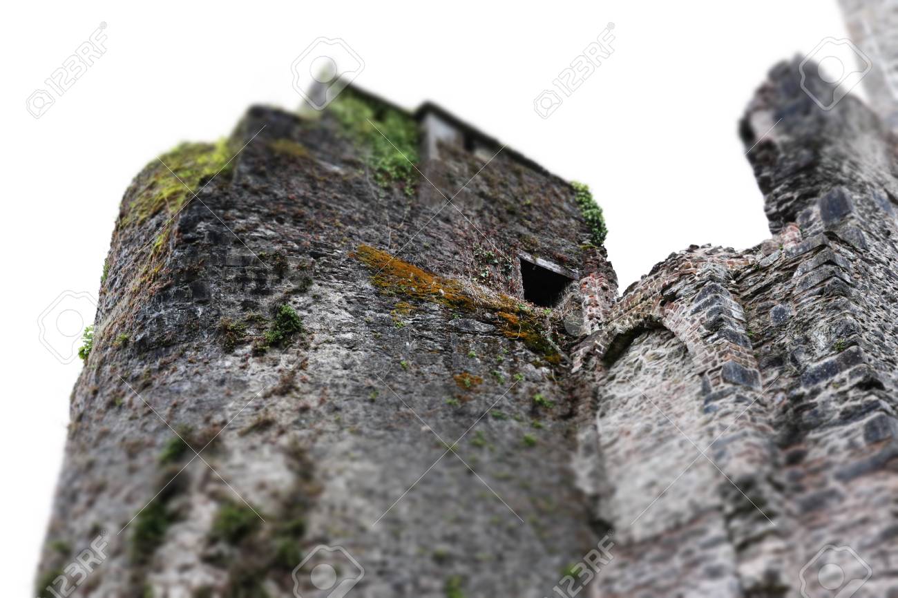 etiam-dictum-ipsum-a-felis