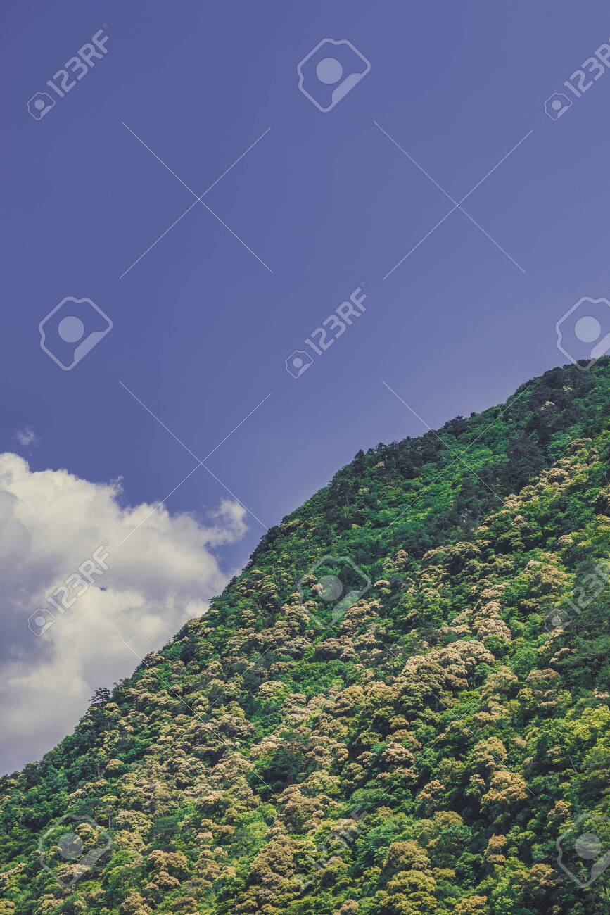 etiam-dictum-ipsum-a-felis